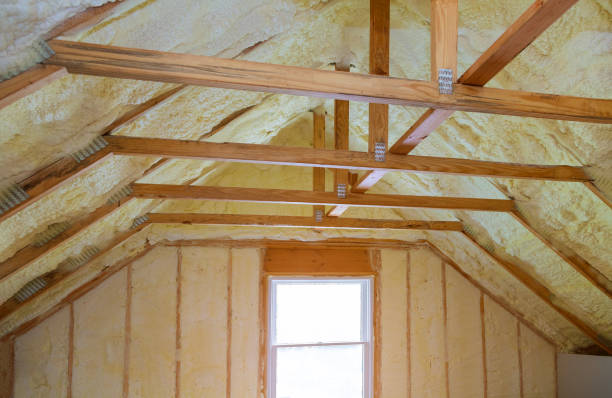 Best Insulation Replacement Services  in Stepping Stone, CO